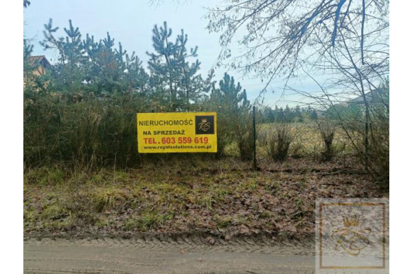 obornicki, Rogoźno, Cieśle, Rogoźno, piękna działka przy lesie MEGA CENA