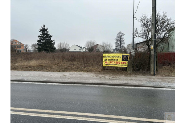 Dachowa, K&oacute;rnik, Działka na sprzedaż