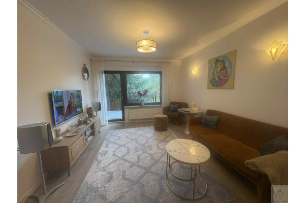 Poznań, Poznań-Jeżyce, Klon, glicynia przed domem,  granit i Smart Home