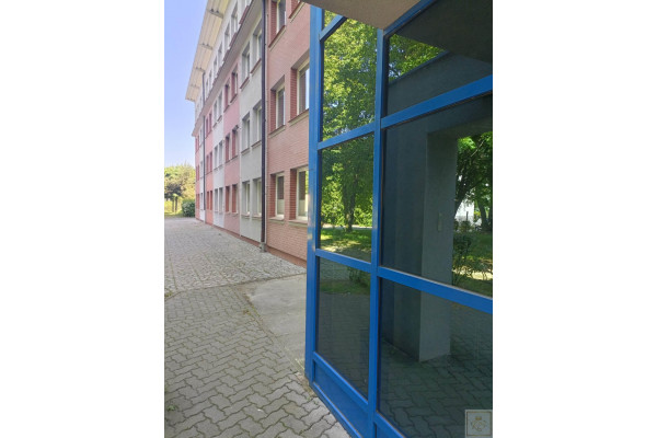 Poznań, Poznań-Grunwald, Junikowo, Biura do wynajęcia w dobrej cenie