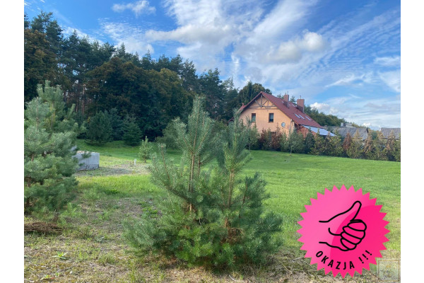 Cieśle, Rogoźno, Działka na sprzedaż