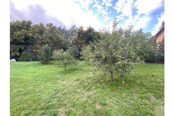 obornicki, Rogoźno, Cieśle, Rogoźno, piękna działka przy lesie MEGA CENA
