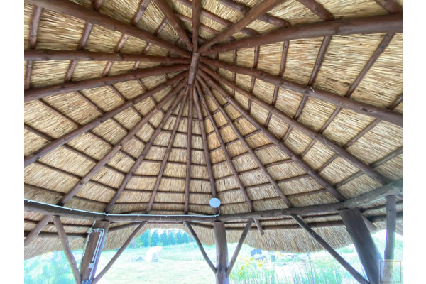 obornicki, Rogoźno, Cieśle, Rogoźno, piękna działka przy lesie MEGA CENA
