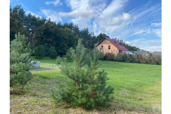 obornicki, Rogoźno, Cieśle, Działka budowlana w malowniczym położeniu