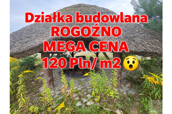 wielkopolskie, obornicki, Rogoźno, Cieśle, Lipowa, Działka z widokiem na las i rzekę Wełnę