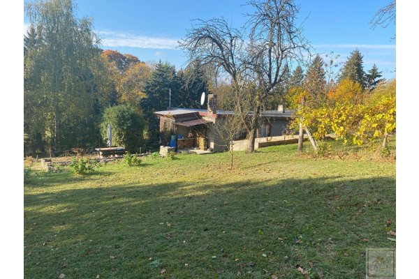 międzychodzki, Sierak&oacute;w, Dom z dużą działką przy Puszczy Noteckiej