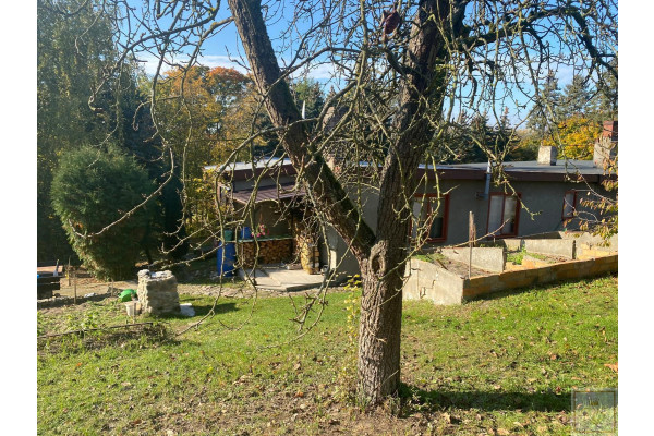 międzychodzki, Sierak&oacute;w, Dom z dużą działką przy Puszczy Noteckiej