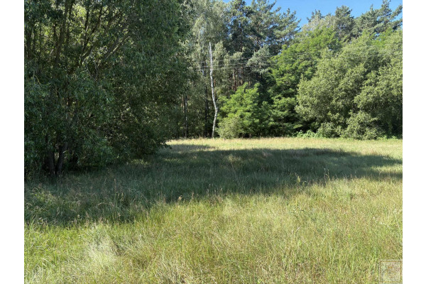 obornicki, Oborniki, Osowo Stare, Twoja prywatna natura za niewielkie pieniądze