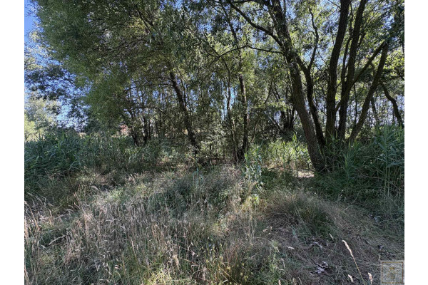obornicki, Oborniki, Osowo Stare, Malownicze siedlisko blisko Szamotuł