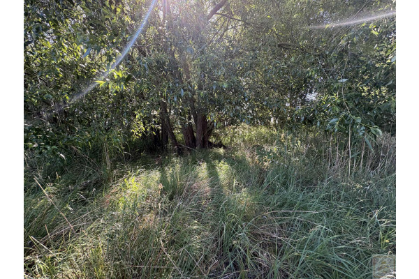 obornicki, Oborniki, Osowo Stare, Malownicze siedlisko blisko Szamotuł