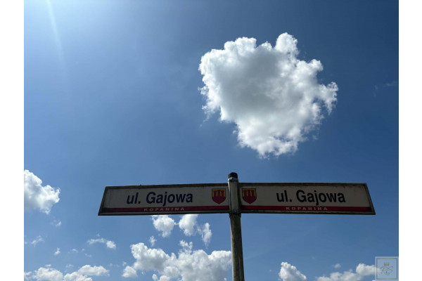 szamotulski, Kaźmierz, Kopanina, KOPANINA &mdash;  działka w wyjątkowym miejscu, vis a vis ściany lasu