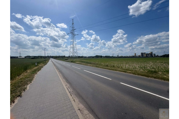 wielkopolskie, szamotulski, Szamotuły, Kępa, Szamotuły działka pod market