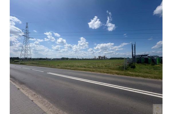 szamotulski, Szamotuły, Kępa, Szamotuły działka pod market